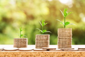 photo of three stacks of money with green sprouts coming out of the top of each stack