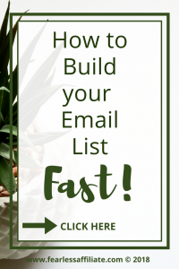 How To Build Your Email List Fast!