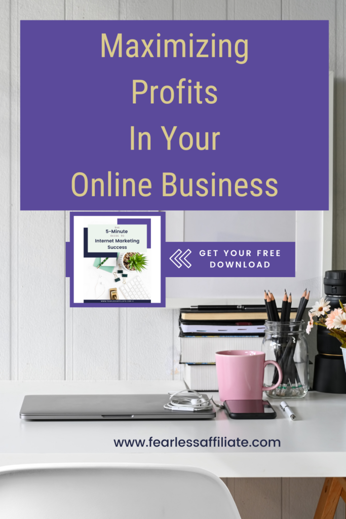 How to Maximize Profits in an Online Business