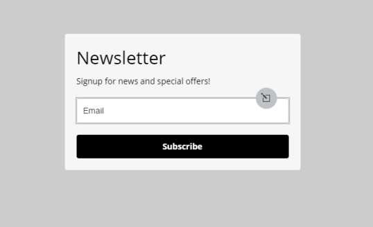 visual of the newsletter form