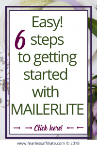 6 steps to getting started with mailerlite